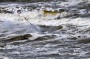 Thumbs/tn_Kite Board Open 2016 zaterdag 079.jpg